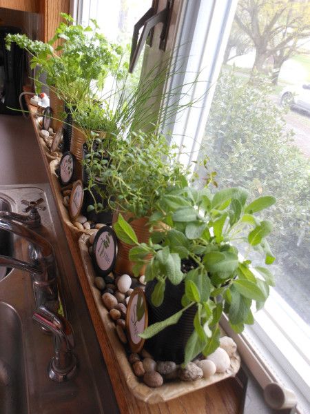 Window Sill Planter Ideas, Window Herbs, Kitchen Herb Garden Indoor, Kitchen Window Herb Garden, Herb Garden Window, Window Sill Herb Garden, Greenery Kitchen, Herb Window, Window Sill Plants