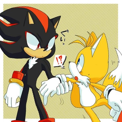 Shadow & Tails Sonic Tails, Sonic Characters, Sonic And Amy, Sonic Funny, Sonic Fan Characters, Sonic Franchise, Blue Hedgehog, Moon Drawing, Shadow Art