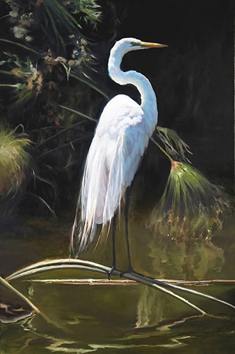 Great Egret by Dominic Avant Oil ~ 60" x 40" Heron Photography, Bird Painting Acrylic, White Heron, Europe Art, Heron Art, Great Egret, Coastal Birds, Louisiana Art, White Egret