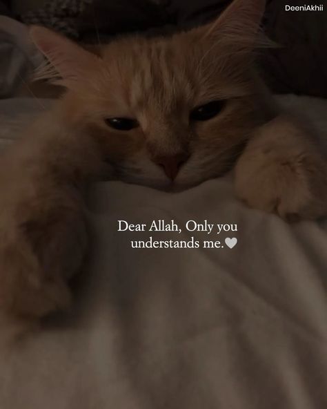 Dear Allah, Understand Me, Islamic Teachings, Relatable Quotes, Islamic Quotes, Memes, Quotes, Quick Saves, Instagram