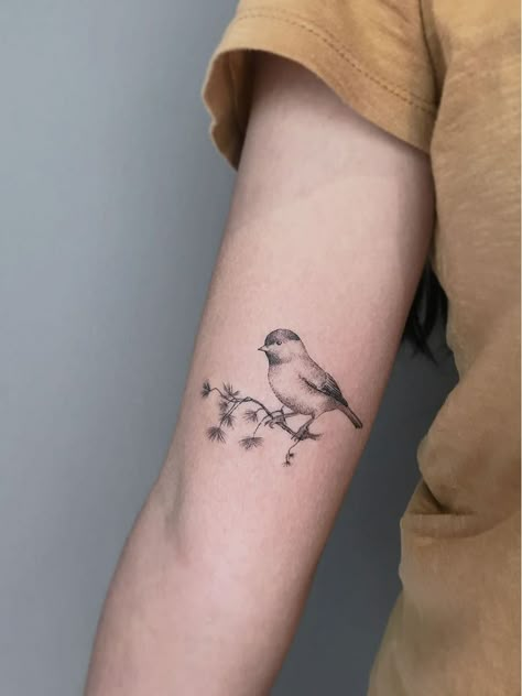 Bird tattoo by Mar Negro #MarNegro #birdtattoos #birdtattoo #bird #feathers #wings #flying #tattooidea #illustrative #branch #tree #blackandgrey | Aug 6th 2019 | 1126801 Chickadee Tattoo, Robin Bird Tattoos, Bird And Flower Tattoo, Robin Tattoo, Little Bird Tattoos, Bluebird Tattoo, Wings Flying, Bird Tattoos For Women, Vogel Tattoo