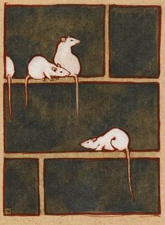 Mice, Rats, Wall, White