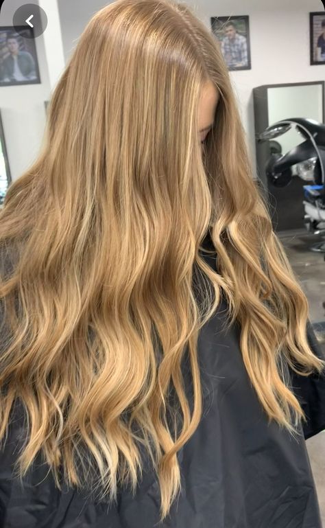 Hairstyles For All Hair Types, Warm Blonde Hair, Honey Blond, Honey Blonde Hair Color, Bombshell Hair, Summer Blonde Hair, Golden Blonde Hair, Dirty Blonde Hair, Honey Blonde Hair