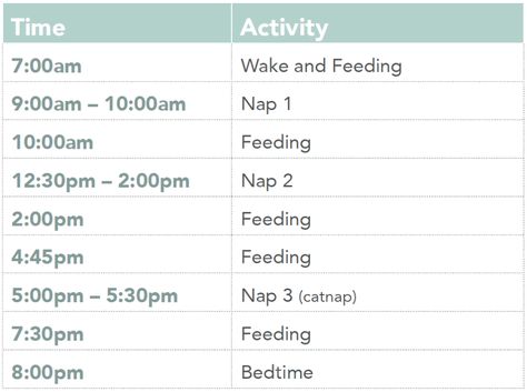 Nap Schedules: 5 Months to 25 Months – Taking Cara Babies 5 Month Old Schedule, 8 Month Old Schedule, Taking Cara Babies, Moms On Call, 5 Month Baby, Baby Wise, Newborn Schedule, Baby Routine, Baby Information