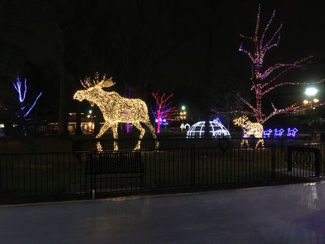 Gage park Brampton Ontario Christmas time Ontario Aesthetic, Canada Vibes, Brampton Ontario, Christmas Time, Ontario, Christmas, Animals