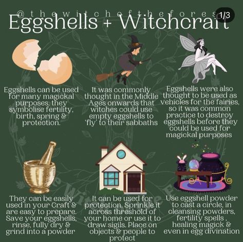 Egg Shell Uses, Lisa Henderson, Chaos Magick, Hoodoo Spells, Teen Witch, The Wasp, Wiccan Spell Book, Magick Book, Witchcraft Spell Books