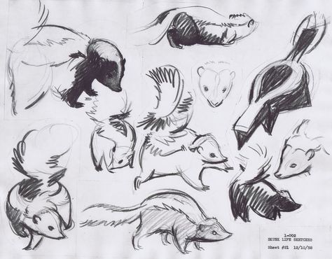 Skunk sketches for the development of Flower from Disney's Bambi How To Draw A Skunk, Skunk Illustration Cute, Skunk Character Design, Skunk Sketch, Cute Skunk Drawing, Skunk Character, Skunk Illustration, Pet Reference, Skunk Cartoon