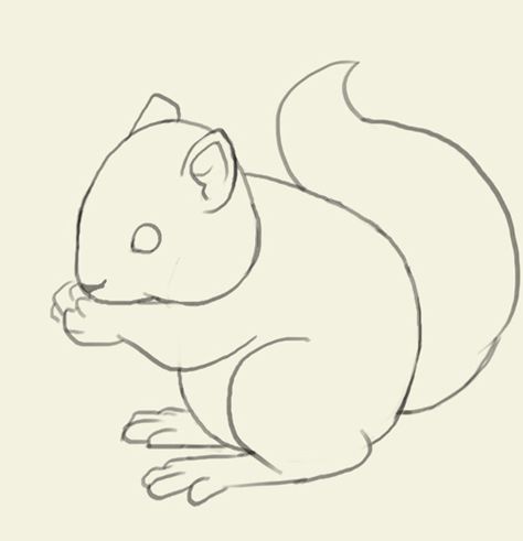 Squirell Drawing Cartoon, Easy Squirrel Drawing, Squirrel Drawing Easy, Squirrel Sketch, Drawing Squirrel, Squirrel Drawing, Cartoon Tree, Cartoon Trees, Simple Drawings