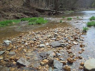 Geode Hunting, Rock Quarries, Saint Vincent And The Grenadines, Brown County, Rock Tumbler, Southern Indiana, Creek Bed, River Bed, Saint Kitts And Nevis