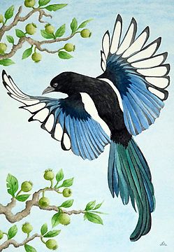 Magpie Embroidery Pattern, Magpie Painting Acrylic, Magpie Art Illustration, Stellars Jay, Magpie Tattoo, Magpie Art, Watercolour Bird, Fly Drawing, Art Studio Design