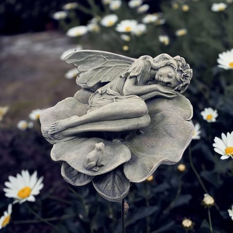 Amazon.com: hvfun Garden Fairy Statue,Garden Sleeping Angel on Lotus Leaf with Bird Feeder Feature Outdoor Decor Sculptures Figurine Gardening Lawn : Patio, Lawn & Garden Fantasy Statue, Sleeping Angel, Outdoor Gathering Space, Outdoors Ideas, Statue Garden, Outdoor Garden Statues, Fairy Statues, Enchanting Garden, Outdoor Gathering