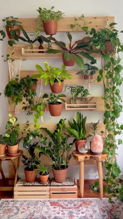 Plant Garden Ideas, Modern Indoor Plants, Plant Stand Hanging, Indoor Plant Garden, Hanging Plant Indoor, Wall Plants Indoor, Living Room Plants Decor, Wall Hanging Decorations, Indoor Plant Stand