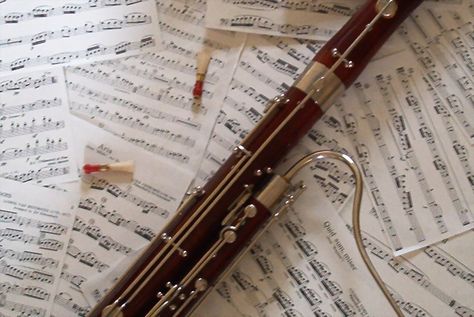 Basson Aesthetic, Basson Instrument, Bassoon Aesthetic, Instrument Wallpaper, Bassoon Music, Bassoon Instrument, Think Before You Speak, Band Nerd, Band Geek