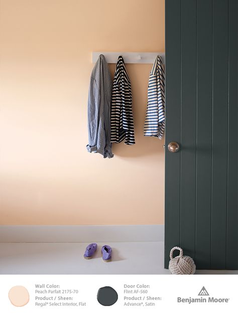 Benjamin Moore Peach Parfait 2175-70, part of our Color Trends 2014 palette. Want to use this color somewhere! Orange Paint Colors, Peach Parfait, Peach Paint, Color Of The Week, Peach Walls, Room Wall Colors, Benjamin Moore Colors, Bedroom Paint Colors, Interior Stylist