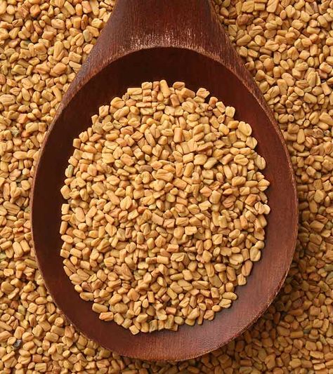 23 Best Benefits Of Fenugreek/Methi Powder For Skin, Hair And Health Fenugreek Recipes, Coconut Oil For Dandruff, Fenugreek Powder, Fenugreek Benefits, Oils For Dandruff, Indian Kitchen, Promote Healthy Hair Growth, Fenugreek Seeds, Mild Shampoo