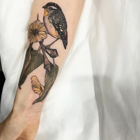 3,088 Likes, 46 Comments - Sophia Baughan (@sophiabaughan) on Instagram: “ pardalote and gum leaves” Mavis Tattoo, Gold Finch Tattoo, Leave Tattoo, Finch Tattoo, Tattoo Birds, Gold Finch, Tattoo Bird, Gum Leaves, Swallow Tattoo