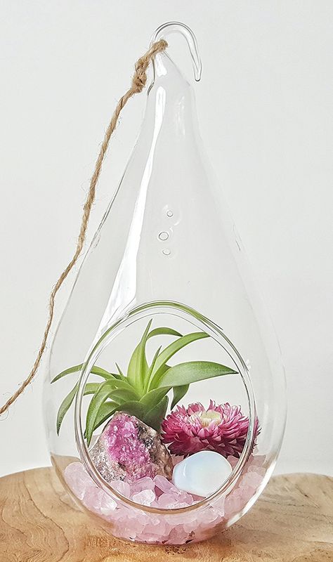 Terrariums Diy, Crystal Room Decor, Hanging Terrarium, Crystal Room, Plant Terrarium, Opalite Crystal, Tillandsia Air Plant, Air Plant Terrarium, Crystal Garden