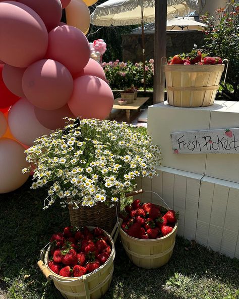 Strawberry Theme Picnic, Strawberry Picking Party, Strawberry Picnic Party, Berry First Photoshoot, Strawberry Kids Party, Strawberry Picnic Birthday Party, Strawberry Tablescape, First Birthday Strawberry Theme, Strawberry Brunch