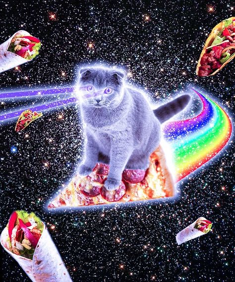 Laser Eyes Space Cat Riding Rainbow Pizza by SkylerJHill Rainbow Pizza, Laser Eyes, Cat Riding, Cat Laser, Hipster Design, Laser Eye, Pizza Cat, Galaxy Cat, Nyan Cat