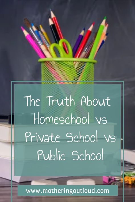 How do you decide between homeschooling, private school, or public school for your child? 🤔 I'm here to help you figure that out! Follow me and subscribe to my blog for more! I'm sharing the truth about homeschool vs private school vs public school, so you can make the best decision for your child's education. #schooling #homeschool #private school #public school #parenthood #kids Public School Vs Private School, Private School Vs Public, Homeschool Vs Public School, Benefits Of Homeschooling, Teacher Preparation, Organizational Hacks, Stem Programs, Teacher Certification, Mom Lifestyle