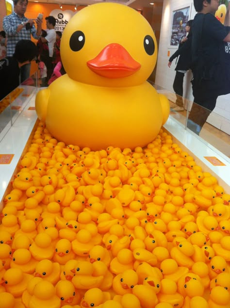 Rubber Duck in Duckies pool Rubber Duck Aesthetic, Duck Outline, Duck Things, Duck Stuff, Duck Pictures, Cute Ducks, What The Duck, Ducks And Geese, Duck Pins