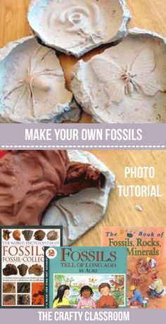 Make Your Own Fossils.  Complete photo tutorial to make your own fossil records. (Not as messy as you think!) How To Make Fossils, Making Fossils With Kids, Fossil Project, Make Dinosaur Fossils, Making Fossils, Fossil Craft, Fossils Activities, Archaeology For Kids, Diy Dinosaur