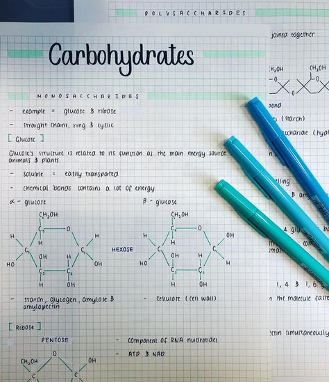 Nutrition Student Notes, Biochemistry Aesthetic Notes, Carbohydrates Notes Biology, Nutrition Study Notes, Biochemistry Notes Carbohydrates, Nutrition Notes Aesthetic, Carbohydrates Notes, Science Witch, Basic Microbiology