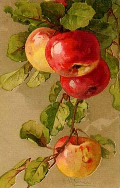 Apple painting Catherine Klein, Apple Painting, Apple Art, Watercolor Fruit, Fruit Painting, 수채화 그림, Still Life Art, Fruit Art, Watercolor Inspiration