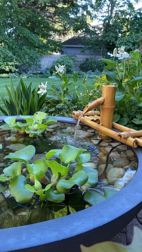 Small Water Gardens, Tanaman Air, Kolam Koi, Fish Pond Gardens, Taman Air, Indoor Water Garden, Garden Pond Design, Diy Garden Fountains, Fountains Backyard