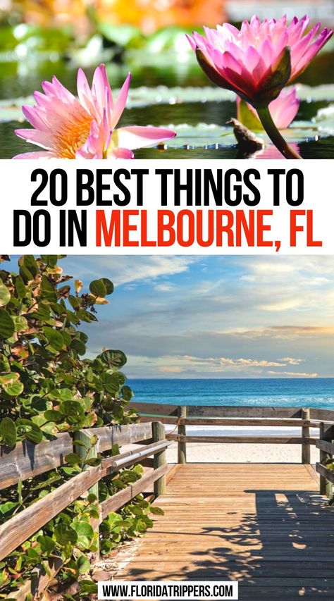 20 Best Things To Do In Melbourne, FL Things To Do In Melbourne Florida, Melbourne Florida Things To Do In, Florida Vacation Destinations, Satellite Beach Florida, Travel Melbourne, Melbourne Beach Florida, Places To Visit In Florida, Things To Do In Melbourne, Places In Melbourne