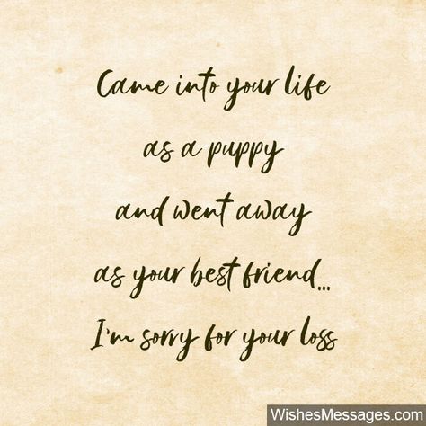 Sympathy Messages for Pets: Condolence Quotes for Dogs, Cats and more – WishesMessages.com Dog Condolences Loss Of Pet, Condolence Quotes, Loss Images, Condolences Quotes, Pet Condolences, Dog Sympathy Card, Sympathy Notes, Sympathy Messages, Sympathy Quotes