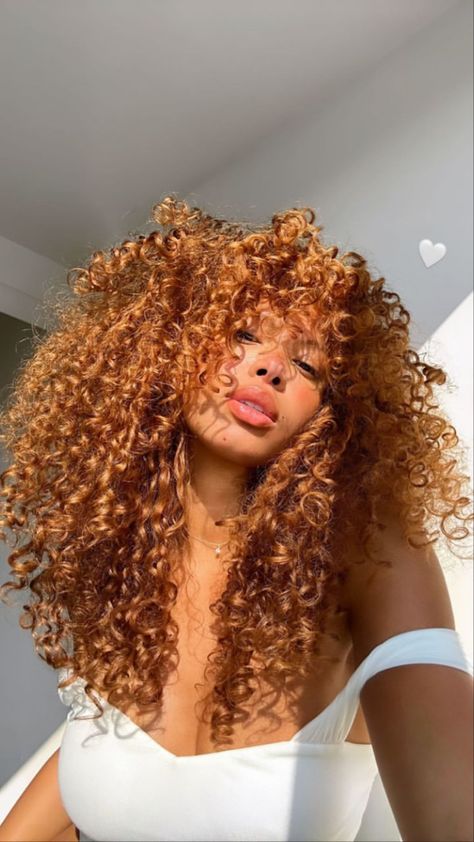 Copper Orange Curly Hair, Red Blonde Curly Hair, Golden Brown Hair Honey Curly Hair, Y2k Hair Dye Ideas Curly Hair, Copper Hair With Blonde Highlights Curly, Strawberry Blonde Hair Tan Skin, Cooper Hair Color Curly, Hair Color Ideas Fall 2024, Fall Hair Colors Curly Hair