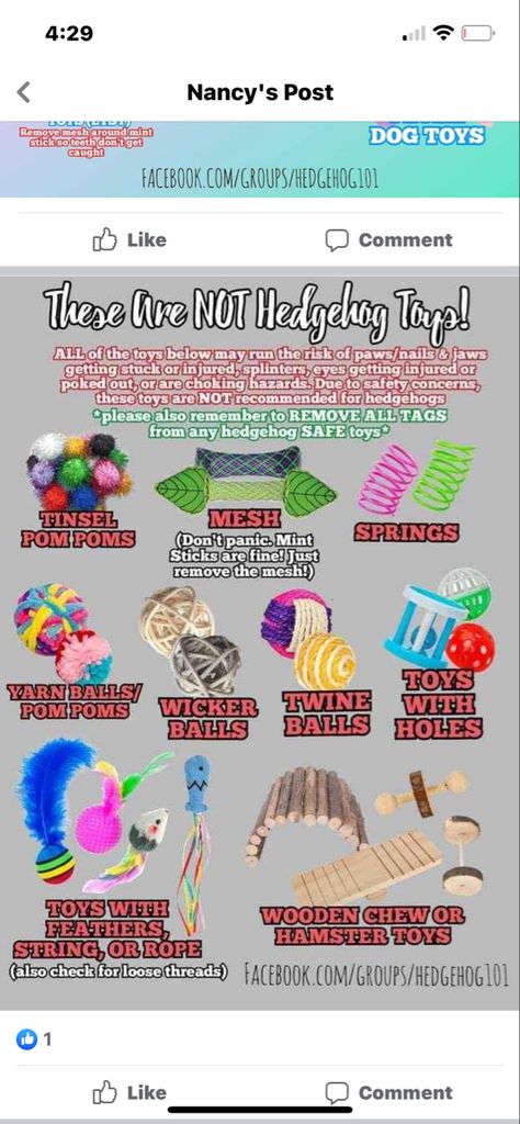 Hedgehog Pet Cage Ideas, Hedgehog Enrichment Ideas, Hedgehog Care Tips, Hedgehog Dig Box Ideas, Hedgehog Toys Ideas, Hedgehog Care Guide, Hedgehog Diy Cage, Hedgehog Cage Setup, Hedgehog Enrichment