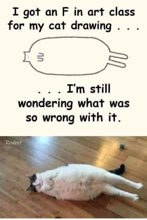 Cat Quotes Funny, Funny Animal Jokes, Cat Quotes, Funny Cat Memes, Funny Animal Memes, Animal Jokes, Funny Cute Cats, Funny Animal Pictures, Cat Drawing