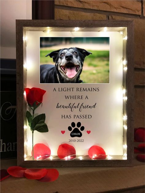 Dog Memorial Gift. Loss of Dog Sympathy Gift. A light Remains. Lighted Shadow Box. Add any text, photos. Pet Memorial Ideas Dogs, Dog Shadow Box, Dog Sympathy Gifts, Sublimacion Ideas, Rose Colors, Pet Scrapbook, Dog Sympathy, Custom Shadow Box, Loss Of Dog