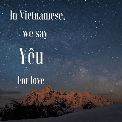 18 Words to Make You Fall in Love with the Vietnamese Language Vietnamese Words, Beautiful Definitions, Words Aesthetic, Vietnamese Quotes, Vietnamese Language, Describe Feelings, Vietnam Voyage, Words That Describe Feelings, National Flower