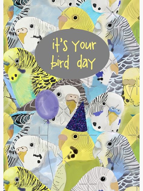 Womans Day Card, National Bird Day, Birthday Wishes For Men, Bird Day, Budgie Parakeet, Bird Birthday, Vintage Business, Birthday Card Template, Happy Art