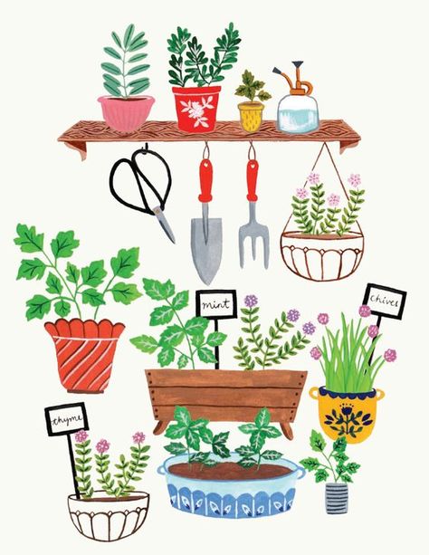 herb garden | flow magazine Flora Waycott, Plants And Gardening, Flow Magazine, Garden Illustration, Garden Drawing, Paper Lovers, Plant Drawing, Gardening Tools, Plant Art