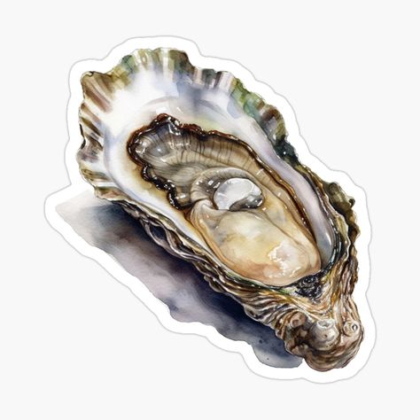 Oyster Shell Illustration, Oysters Illustration, Watercolor Drawing, Journal Stickers, Sticker Art, Science Poster, Stranger Things Fanart, Sticker Design, Vinyl Sticker