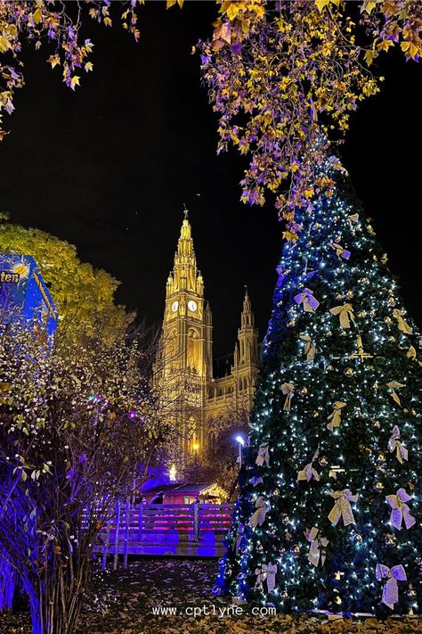 Beautiful and magical Christmas Markets in Vienna that you must add to your list of places to visit in Europe for your next Christmas vacation. / Vienna aesthetic / vienna winter / travel guide vienna winter / vienna Christmas market aesthetic / vienna Christmas market photo / vienna Christmas market food / vienna Christmas Instagram / Christmas vienna austria / rathaus wien / rathaus wien Christmas market / Christmas aesthetic Vienna At Christmas, Vienna Winter Aesthetic, Vienna Christmas Aesthetic, Vienna Austria Christmas, Wien Christmas, Germany Market, Christmas Market Aesthetic, Vienna Austria Aesthetic, Winter Vienna