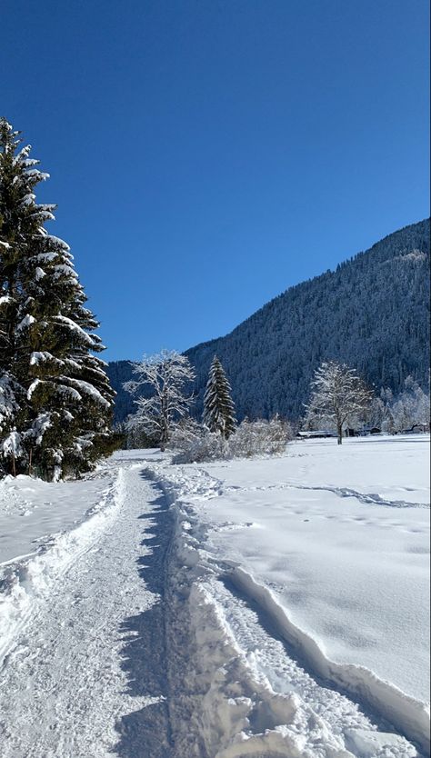 Snow In Mountains, Snow Widget, Snowy Mountains Aesthetic, Chalet Aesthetic, Russian Palace, Montana Nature, Arctic Tundra, Snow Mountains, Vision Board Photos