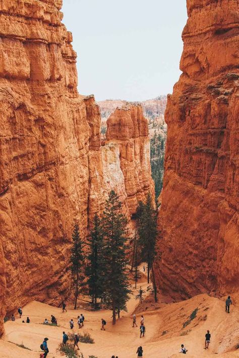 Navajo Loop Trail at Bryce Canyon National Park (What you Need to Know) Bryce Canyon Hikes, Grand Canyon Helicopter, Have Inspiration, Bryce Canyon National Park, Helicopter Tour, Destination Voyage, National Parks Trip, Bryce Canyon, Fall Travel