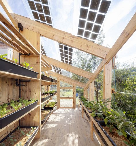 Architecture Sustainable, Greenhouse Pictures, Solar Greenhouse, Building A Cabin, Urban Agriculture, Backyard Greenhouse, Timber Structure, Urban Farming, Bedding Plants