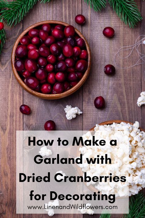 Christmas Cookies Traditional, Cranberries Decor, Dried Fruit Garland, Fruit Garland, Cranberry Baking, Make A Garland, Popcorn Garland, How To Make Garland, Christmas With Kids