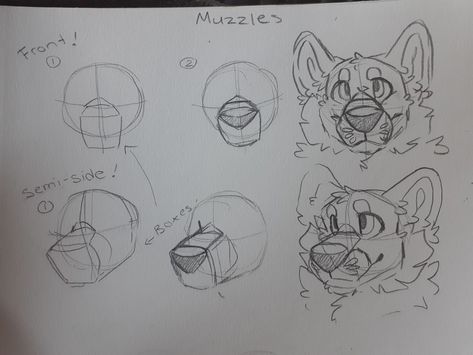 Snout Drawing Tutorial, Dog Snout Drawing, Snout Drawing Reference, How To Draw A Dog Face, Doberman Fursona, Muzzle Tutorial, Red Riding Hood Art, Anthro Art, Wolf Sketch