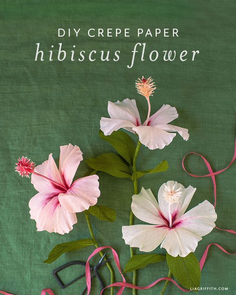 Hibiscus Crepe Paper Flowers, Crepe Paper Hibiscus Flowers Diy, Crepe Paper Hibiscus, How To Make Hibiscus Flowers From Paper, Diy Hibiscus Flower Paper, Paper Hibiscus Flowers Diy, Lia Griffith Flowers, Hibiscus Paper Flower, Crepe Paper Flowers Tutorial