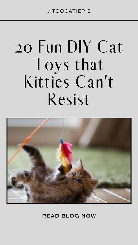 DIY Cat Toys Making Cat Toys Ideas, Interactive Cat Toys Diy, Cat Kicker Toy Diy, Kitten Toys Diy, Diy Kitten Toys, Diy Cat Toys Interactive, Cat Toys Diy Easy, Diy Cat Toys Easy, Diy Cat Tent