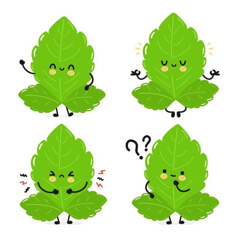 Leaf Character, Leaf Cartoon, Cartoon Leaf, Plant Cartoon, Poster Project, Vector Food, Food Kids, Future Design, Cute Characters