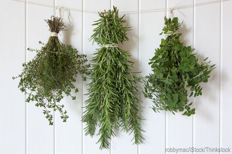 2 Simple Ways to Preserve Herbs - Hobby Farms Dry Rosemary, Dry Sage, Drying Fresh Herbs, Freezing Herbs, Sage Tea, Preserving Herbs, How To Dry Sage, Summer Harvest, Flower Studio