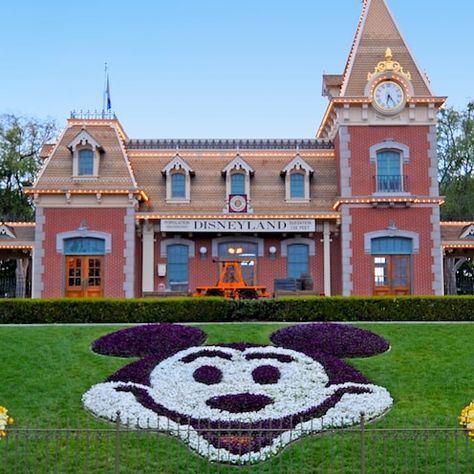 The Main Entrance to Disneyland Park with the train station and floral Mickey display Disneyland Entrance, Disneyland Photography, Disneyland California Adventure, Disney California Adventure Park, California Adventure Park, Disneyland Pictures, Disneyland Vacation, Disneyland California, Disneyland Park